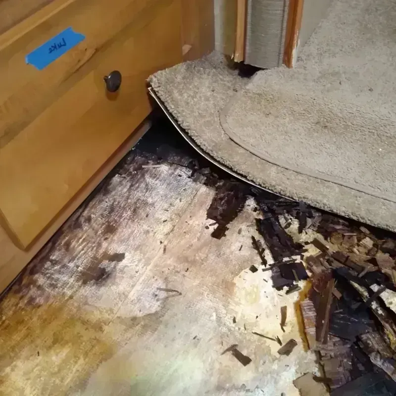 Wood Floor Water Damage in Conway, PA